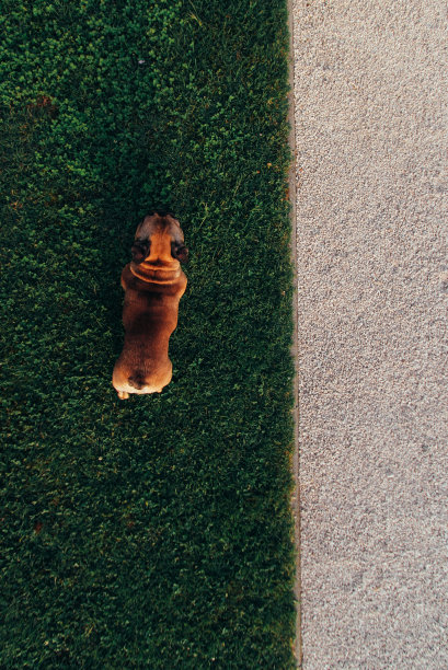 从上到下图片下载