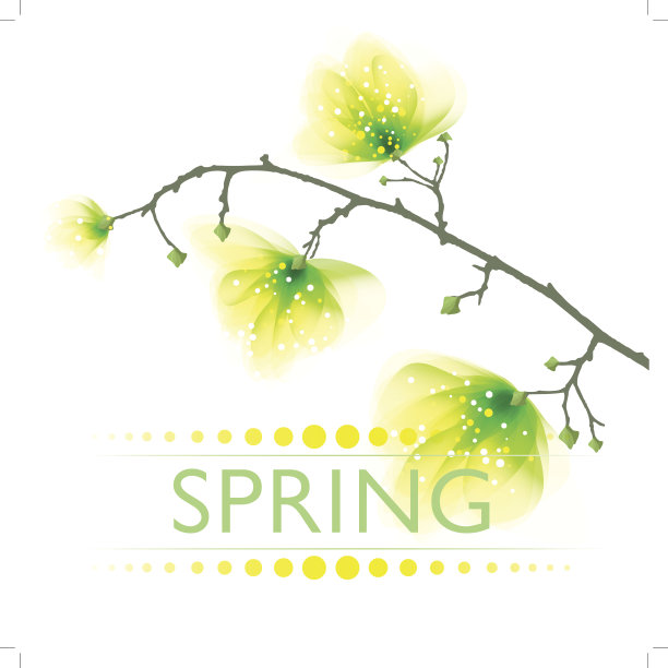 矢量背景与春天的花图片下载