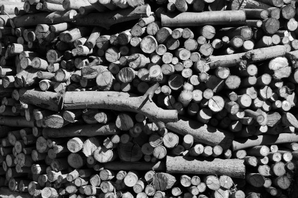 堆柴火。图片下载