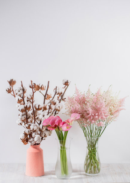 木质背景上的花瓶里插着棉花花图片下载
