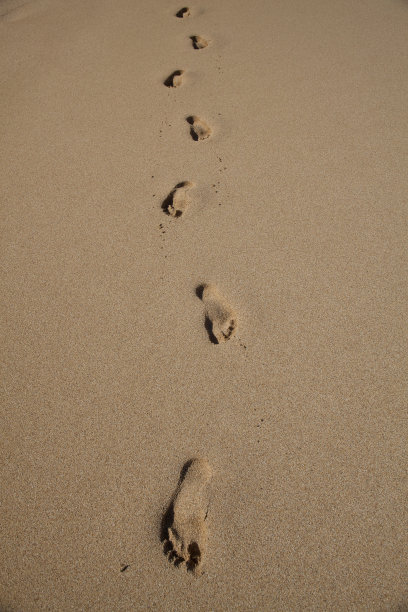 的足迹图片下载