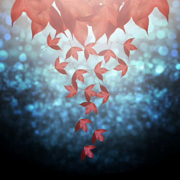 背景上的散景和草图片下载