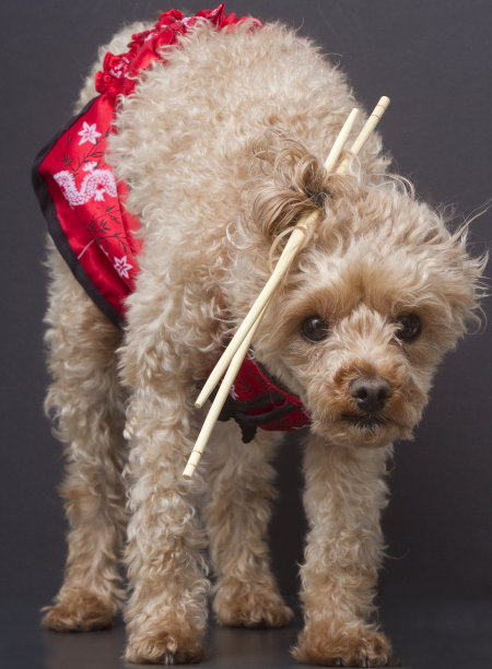 筷子顽皮图片下载