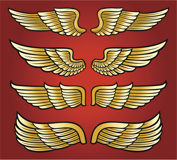 翅膀集合图片下载