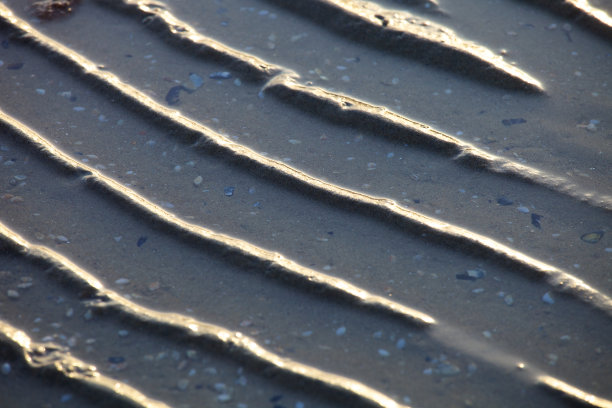 沙上的浅波纹图片下载