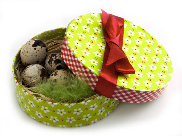 鹌鹑蛋的盒子在白色的背景图片下载