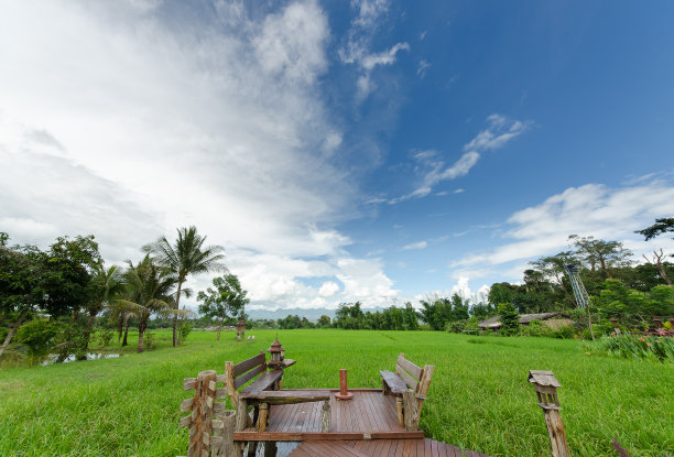 美丽的稻田图片下载