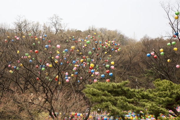 2020年春节图片素材ID：157971064