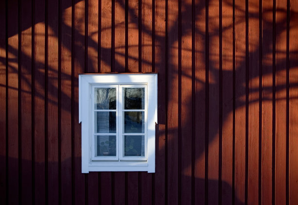 窗户上有一棵树的影子图片下载