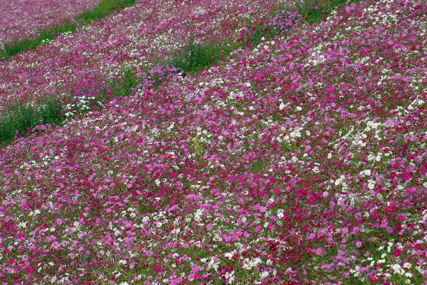 宇宙的细节图片下载