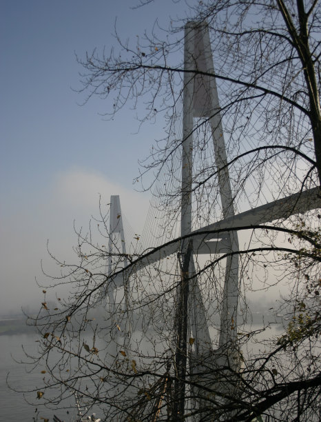 轻轨桥上的雾消散了图片下载