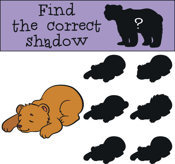 儿童游戏:找到正确的影子。可爱的小熊宝宝。图片下载
