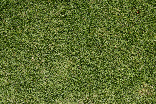 绿色高尔夫草坪图片下载