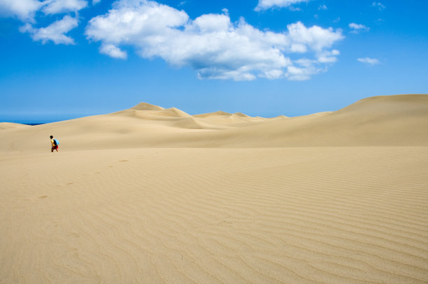 孤独的图片下载