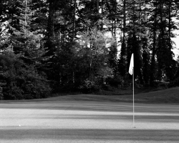 高尔夫绿色图片下载