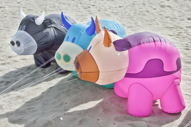 节日里的充气牛图片下载