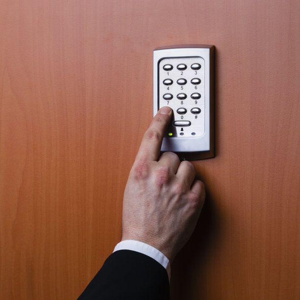 电子安全系统启动图片下载