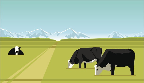 农场的牛图片下载