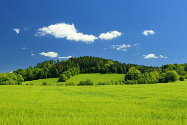 夏天的风景图片下载