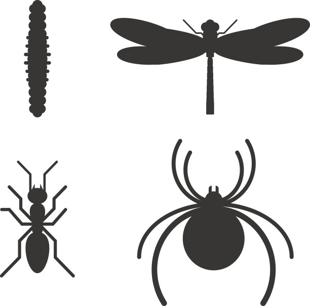 昆虫图标黑色剪影图标图片下载