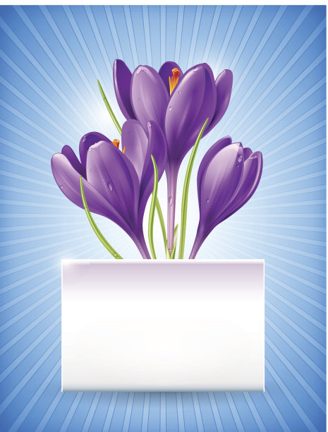 春花卡片图片下载