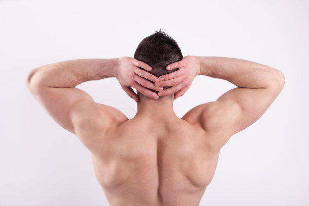 肌肉的肩膀图片下载