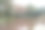 枯树立在水面上图片下载