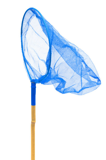 蝴蝶网图片下载