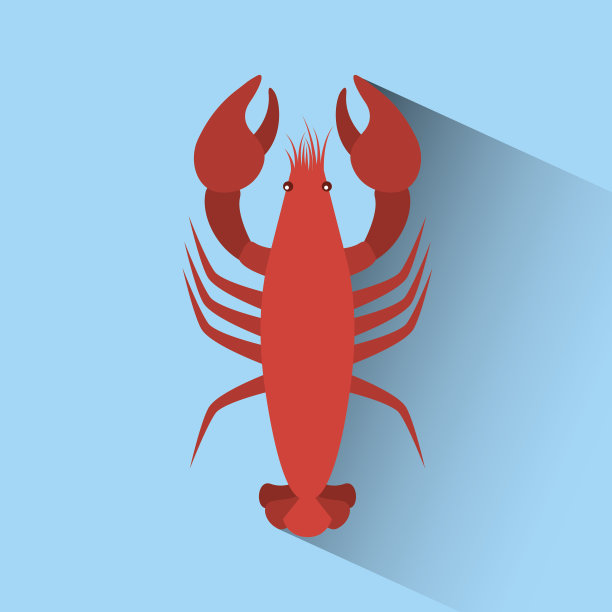 美味海鲜龙虾动物图片下载