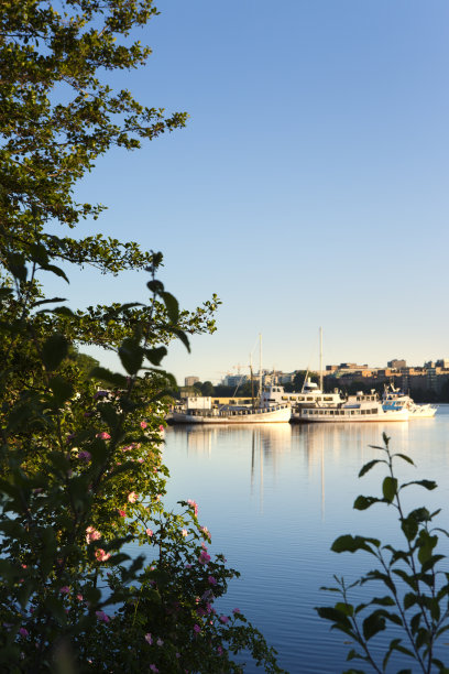 斯德哥尔摩的早晨图片下载