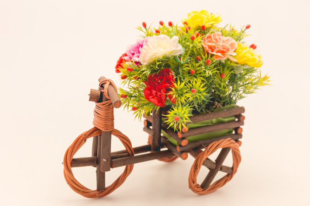 白色背景上的花木车装饰膜风格图片下载