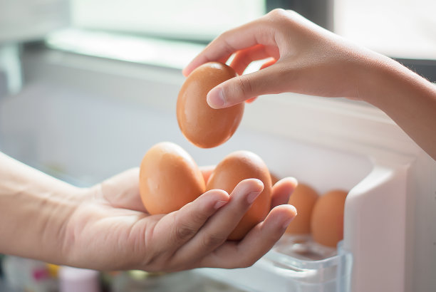 父亲的手给女儿拿鸡蛋图片下载