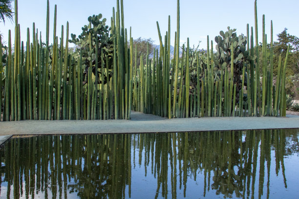 瓦哈卡图片素材ID：158035408