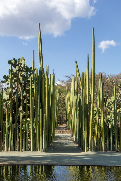 瓦哈卡图片素材ID：158035882