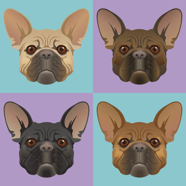 法国斗牛犬。图片下载