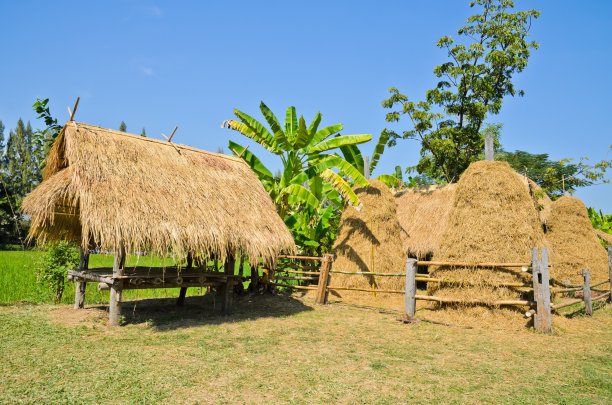 原生泰凉亭图片下载