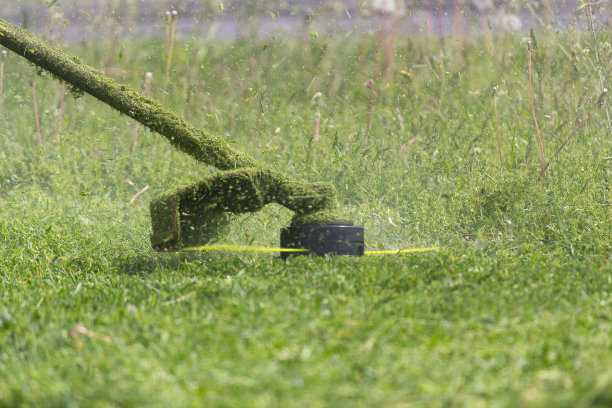 手动割草机割草时，草坪特写图片下载
