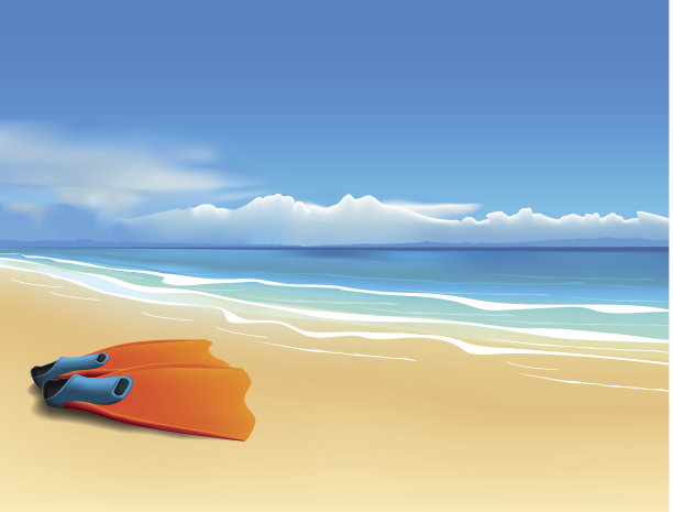 海滩上的鳍图片下载