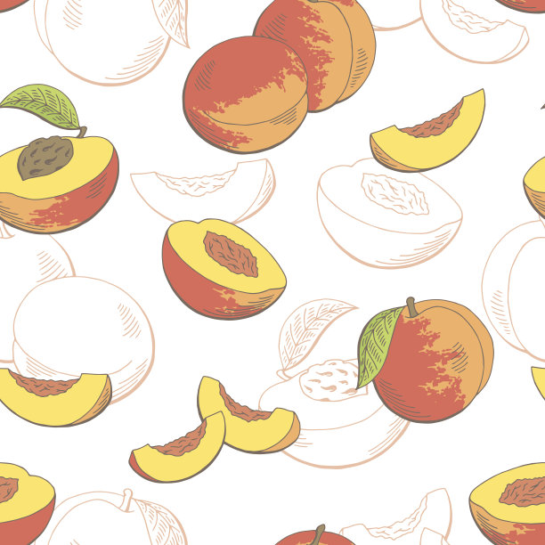 桃子水果图形颜色无缝图案素描插图向量图片下载
