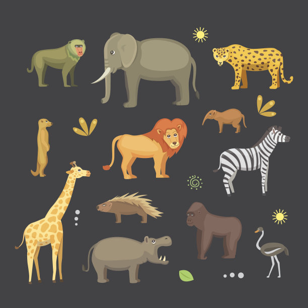 非洲动物卡通向量集。safari孤立的插图。素材图片