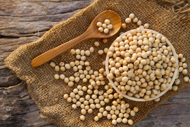 大豆图片素材ID：158080462