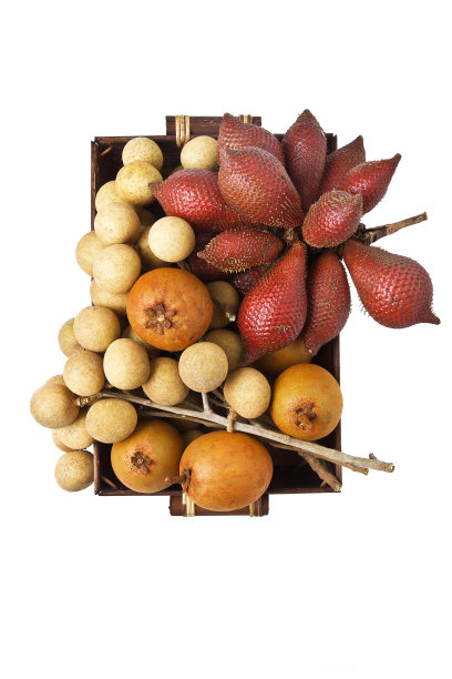 泰国水果成分图片下载