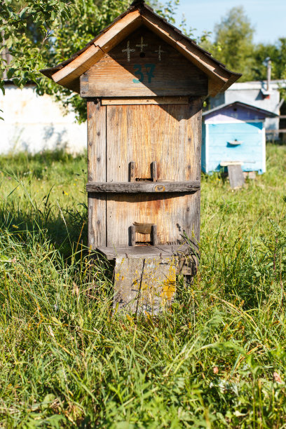 深色木质蜂巢屋顶图片下载