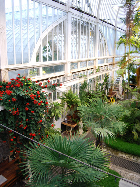 老绿房子的景色图片下载