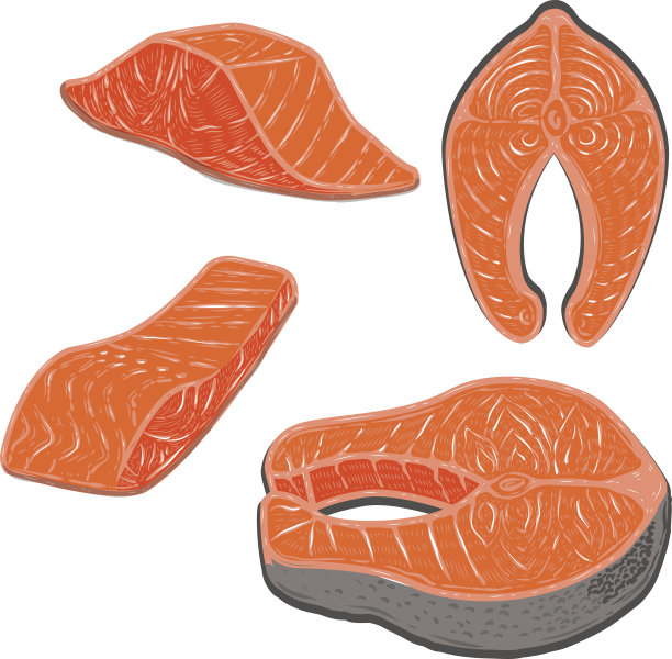 鲑鱼肉。白色背景上孤立的鲑鱼排。矢量图图片下载