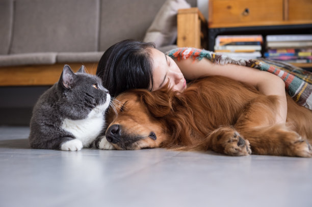 女孩与猫狗一起睡觉素材图片