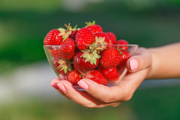 女人的手握熟草莓在绿色图片下载