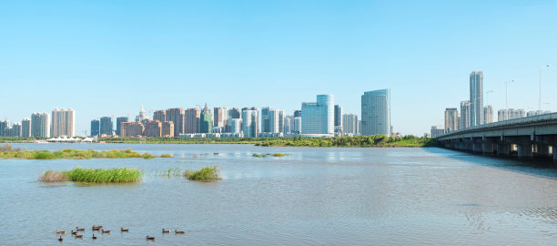 松花江和哈尔滨市图片下载