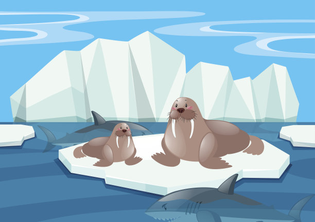 北极的海象和鲨鱼图片下载