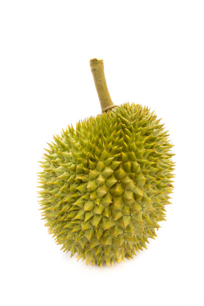 水果之王。榴莲孤立在白色背景上图片下载